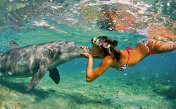 unmotivating:  Girl Kissing Dolphin off the Coast of Hawaii