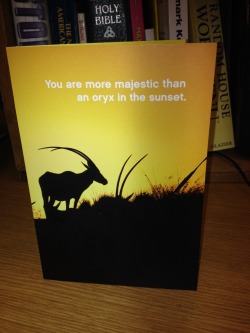 plavapticica:  bryndonovan:  I have worked at Hallmark for about 20 years total and this is probably the best card I have ever written.  This is a card I would actually buyFunny, no scat humor, no age jokes or sexist jokes, not creepily sentimentalA+