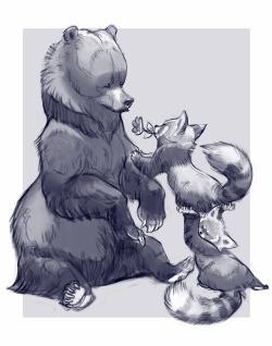 tehchanartme: Sketch of a bear and two red pandas &lt;3 