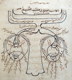 Diagram of the visual system. Ibn al-Haytham (circa 1027, published in 1083). The oldest known drawing of the nervous system shows a large nose at the bottom, eyes on either side, and a hollow optic nerve that flows out of each one towards the back of