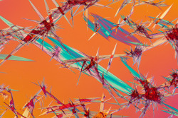 photojojo:  Most crystals are dazzling enough to the naked eye, but photographer Linden Gledhill discovered there’s even more beauty at the microscopic level.Using a microscope with a connected camera, Linden captured the gorgeous, abstract forms of