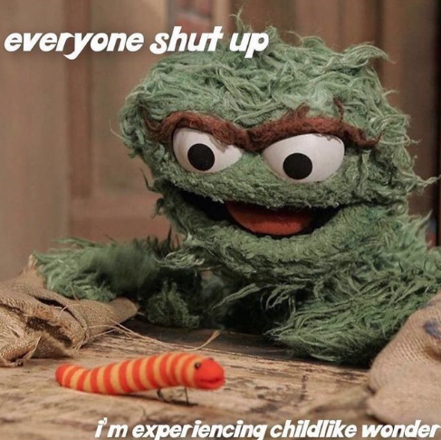 arborealgargoyle:  [id: Oscar the Grouch from Sesame Street looking down at Slimey, his orange and yellow striped worm. white text reads “everyone shut up / i’m experiencing childlike wonder” end id]