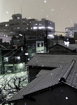 elayesildogan:  Snow Tokyo 2012 by   Pietro Zuco  
