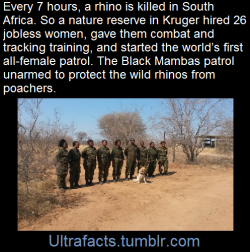 ultrafacts:  youreekofhavoc:  jiggymonster161:  ultrafacts:    In a bid to engage communities outside the park fence,a reserve hired 26 local jobless female high-school graduates, and put them through an intensive tracking and combat training programme.
