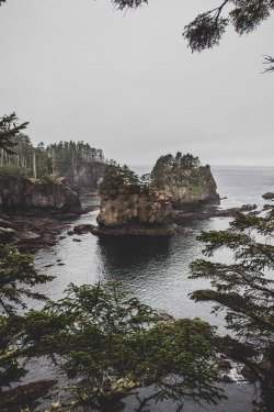 thisnormallife: Cape Flattery, WA | march 9th |   ig: thisnormallife 