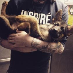 awwww-cute:  my little baby german shepherd, probably the last time I’ll be able to hold him like this before he’s 100lbs next week