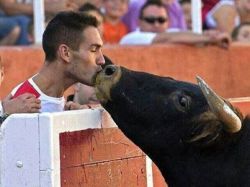sparklyvagina:  nohunnylovesyou:  thehorrorsoflove:  crackyeah:  ebbingusually:  love-being-me-xox:  The TRUE face of a bull in the bullfighting ring and a tender moment between the bull and an anti-bullfighting activist. “The bull is not an aggressive