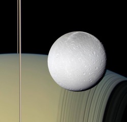spaceexp:  This is a real photograph of Dione taken by the Cassani spacecraft while orbiting Saturn. via reddit 