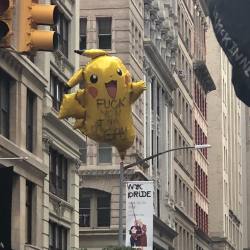 plystation: elphabaforpresidentofgallifrey: pikachu the original gay icon   Loving this year’s macys thanksgiving parade 