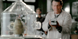 felicitysquad:  fringe rewatch ● the cure ‘To understand what happened at the diner, we’ll use Mr. Papaya!’ 