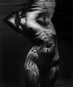 inneroptics:  Brett Weston 