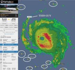 clodicusmaximus:  dickslapthestate:  keepitmovinshawty:  aheartmadeofkyber:   So Delta flight 302 flew in to San Juan, picked up passengers, and threaded one arm of Irma on the way out. The pilot basically said “hold my beer” and took on a hurricane.