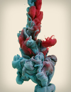  High-Speed photographs of ink dropped into water.   