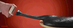 castiel-knight-of-hell:  freebatchisthenewjohnlock:  al-grave:  100lb of Magnetic Putty  science side of tumblr, please explain  noot noot 