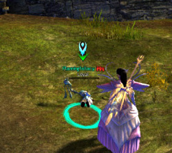 rytlock-brimstone:  Go home, Arenanet Employee, you are drunk.
