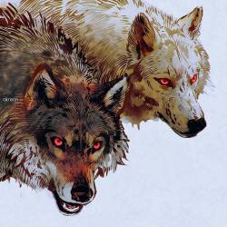 akreon:#wolves #wolf #digitalart #rebelle2 #redeyes #wilki #wilk #lobo #husky #wolfdog #dog #malamute
