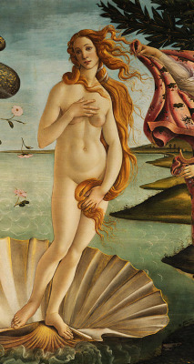 artfoli:  The Birth of Venus (1483-85), by Sandro Botticelli (1445-1510) // The Birth of Venus (1879), by William-Adolphe Bouguereau (1825-1905)