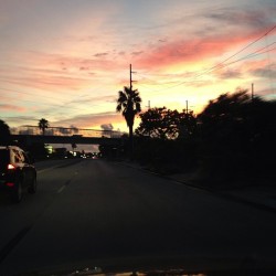 #sunset #florida #stpete #night #pretty #red #orange #sky #blue #palms