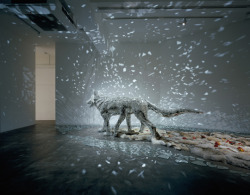 dawnawakened:  Konoike Tomoko, “The Planet is Covered in Silvery Sleep” (2006)  &ldquo;Multi-discplinary artist Tomoko Konoike works with crystalline structures, whether drawing them with graphite or building them from broken mirrors and glass. The