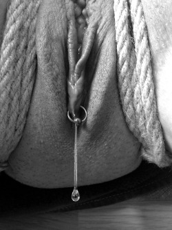 Arty B&amp;W photo of juicy pussy with horizontal clithood (HCH) piercing.