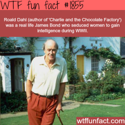 wtf-fun-factss:  Roald Dahl, real life James Bond - WTF fun facts