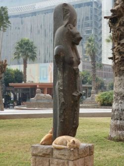 mythosidhe:  Sekmet with her kitties - Cairo Museum [x] Most humans might not still believe in the old Gods, but cats know what’s what! 