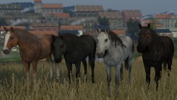 Updated Witcher 3 Roach/HorseUpdated the Roach model with a gray skin and demon skinhttps://sfmlab.com/item/1022/Xnalara port of MoogleOutFitter&rsquo;s Roach model.Optional saddle, brindle, reins, saddlebags, horse blanket and chanfron.