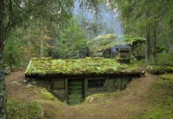 bunnicat-art: voiceofnature:    In the early 1800s a man named Little Jon lived in this so called earth cabin (swe. ‘backstuga’) located in southern Småland, Sweden. An earthen cabin is built partially buried in the ground, in this case there’s