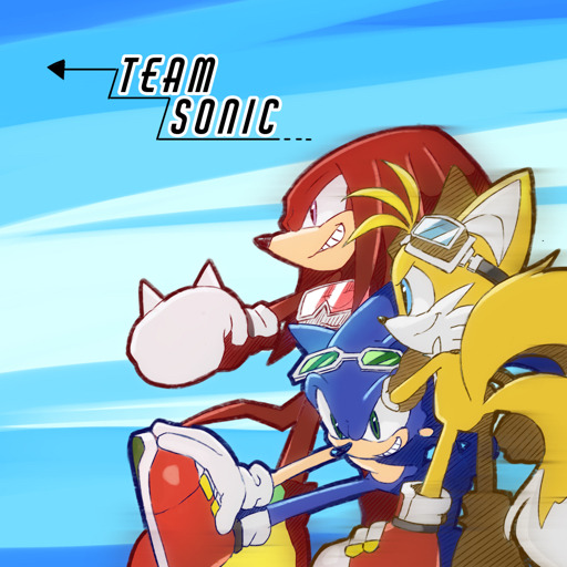 maifantasy:  Sonic Riders ❤️💛