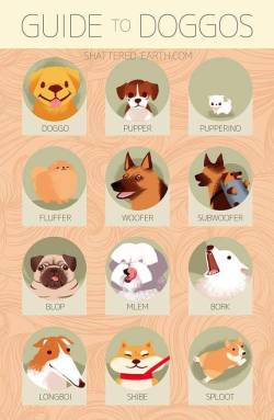 littleawoo:♡ Credit: shattered-earth.com ♡ tag yourself, I am fluffer or woofer
