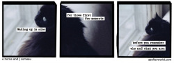 softerworld:  A Softer World: 949 (then what? you have to get up I guess.) buy this print 