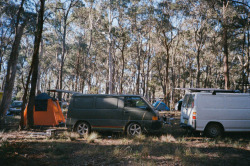 Newnes State Forest
