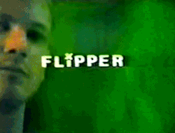 calimarikid: Flipper 