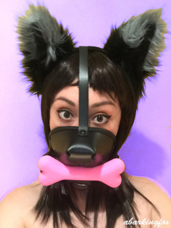 bdsmgeekshop:  abarkingfox:  Gagged, Muzzled Fox.Thanks to bdsmgeek ( bdsmgeekshop ) for the adorable, pink bone gag! Purchase this gag and much more at their store, here !  So cute!!!!!