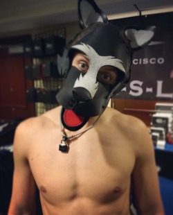 pupamp:  Look what @mr-s-leather just released! 🐶 Wolf hoods! BARK!  I’ll huff and puff and blow… Something. Until it goes down at least