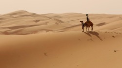 Google has deployed camels to help create a “street view” of the Liwa Desert in the United Arab Emirates