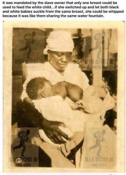 black-to-the-bones:  cheriisplace: black-to-the-bones:  White babies were fed with the enslaved black women’s milk, BY black women.  Don’t forget about it!  Not good enough to respect as equals but used to provide vital sustenance to their children.