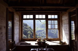 zeppelin-child: I want a kitchen like this, with big windows and the glory of nature outside. 