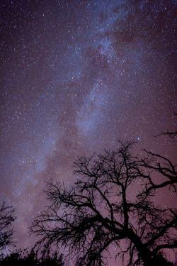 brutalgeneration:  Milky Way @ Canyon de Chelly National Monument by vtgohokies on Flickr. 