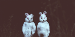 societykilledheragain:  bunnys ∆ | via Tumblr on We Heart It.