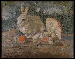 the-met-art: Tile mosaic with rabbit, lizard and mushroom, Greek and Roman ArtMedium: TileGift of J. Pierpont Morgan, 1917 Metropolitan Museum of Art, New York, NY http://www.metmuseum.org/art/collection/search/249477 