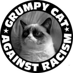 redstarpilot:  Facebook on We Heart It. http://weheartit.com/entry/45559690/via/redstarpilot   I don&rsquo;t think Grumpy Cat gives a shit. LOOK AT IT&rsquo;S FACE!! That&rsquo;s NOT a caring face.