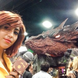 Smaug just wanted me to leave him alone so he could go back to sleep. #sdcc  (at 2014 San Diego Comic Con International Japanese Animation)