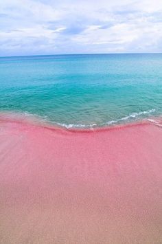 mysubmissivekisses:  sixpenceee:  Pink Beaches, Bermuda: The pink sand is the result of millions of tiny red sea creatures, such as clams, mollusks as well as other invertebrate,  that have been crushed by the powerful waves of the mid-Atlantic ocean.
