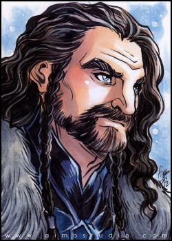 aimosketchcard:  Sons of Durin: Thorin Oakenshield, Fili, and Kili —- Displayed artworks are available at my Artfire Store 