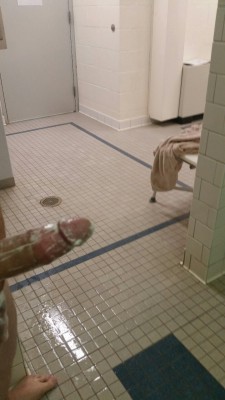BYU Showers