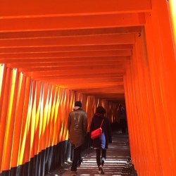 visitkyoto:  #fushimi #fushimiinari #senbontorii #伏見稲荷大社 #稲荷#京都#travelgram #kyoto  (Fushimi Inari-taisha)