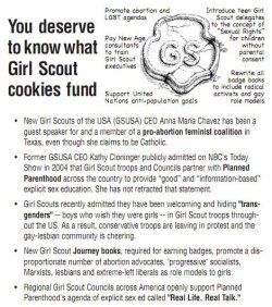 painbehindbeauty:  arielthenerd:  khaleesi:  gyzym:  melthedestroyer:  dynamicsarenotmyforte:  thedukeoflions:  frescaparty:  someone on facebook posted this intending it to be negative but instead it’s INCREDIBLE. go girl scouts  girl scouts fuckin