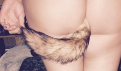 daddyskittenyessir:  My fox tail ☺️ so I’m not the smallest person, doesn’t mean I’m not the littlest fox ❤️*insert cute fox noise* 