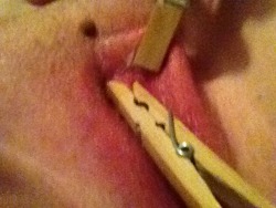 spankedbottom:  So sorry it’s such a blurry picture, but the pin on my clit hurt like hell so i wanted to share it.  Thank You to asslover8181 for having me inflict this pain on my whore cunt.  Your efforts to improve me are so appreciated Sir.